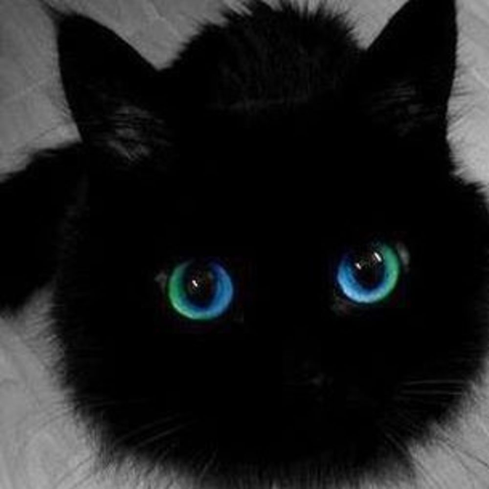 Meet your Posher, Syd